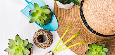 Ландшафтный дизайн